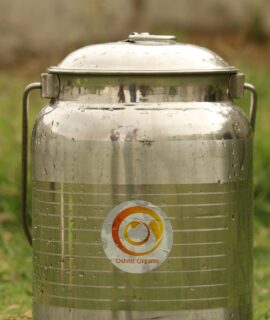GIR COW BILONA GHEE (5kg)